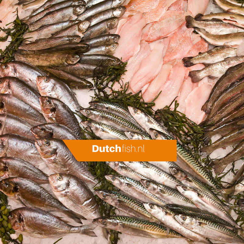 Dutchfish verwijzing
